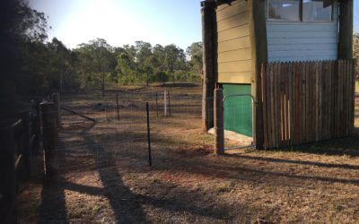 Cubby converted to Dog Enclosure