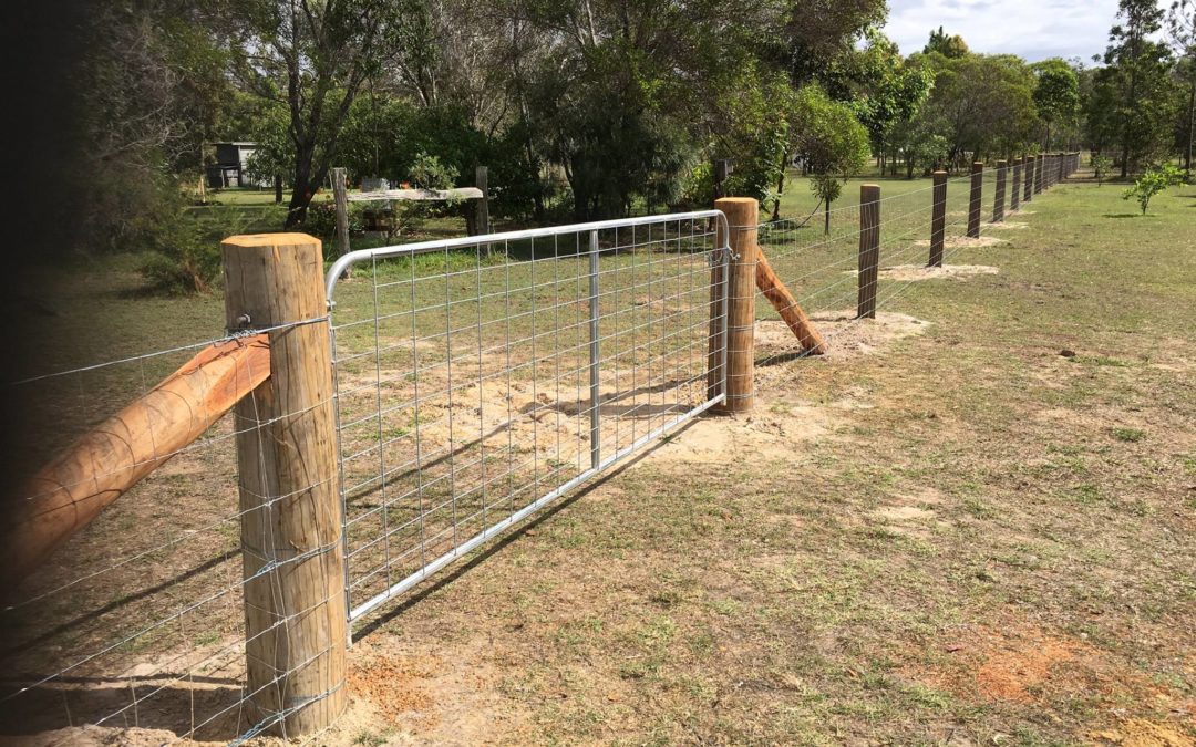 Dog Fence (Before & After Completion)