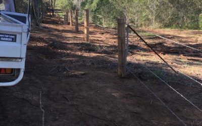 Cattle 4 Barb Boundry Fence