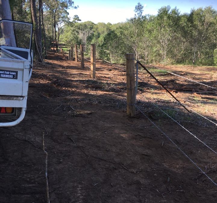 Cattle 4 Barb Boundry Fence