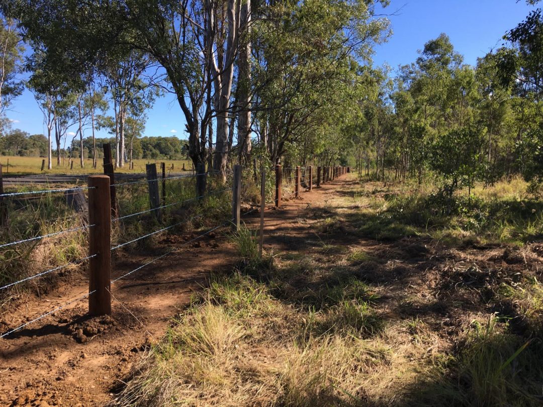 Barb Wire Cattle Fence by Fraser Coast Mini Excavations, Spraying ...