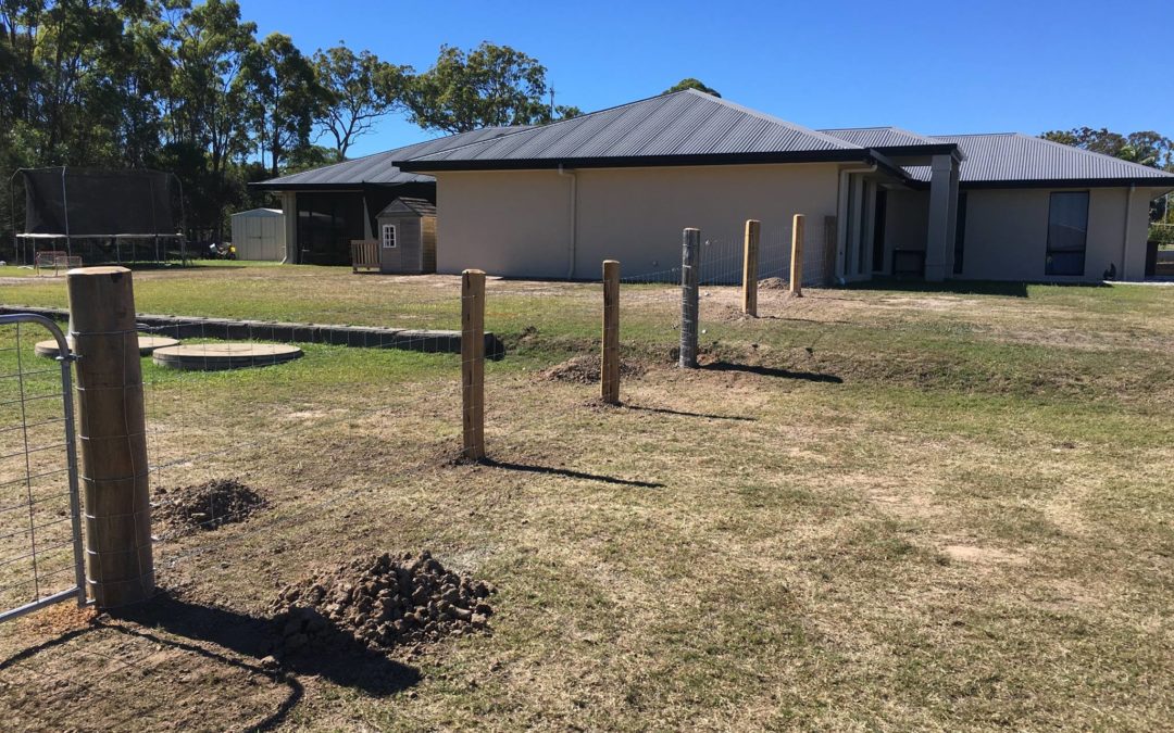 Wire Dog Fence