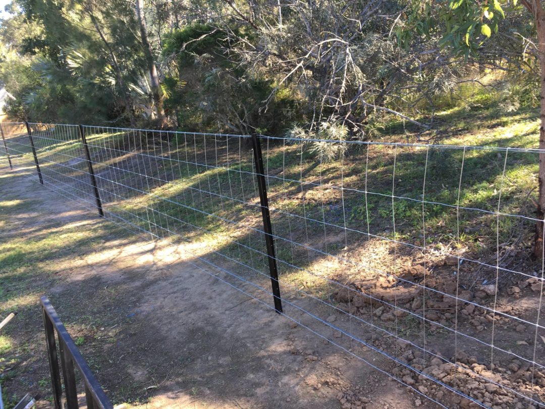 Wire Dog Fence by Fraser Coast Mini Excavations, Spraying & Rural Fencing