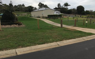 Dog fence with split posts