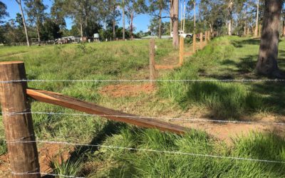 4 Barb wire cattle fence