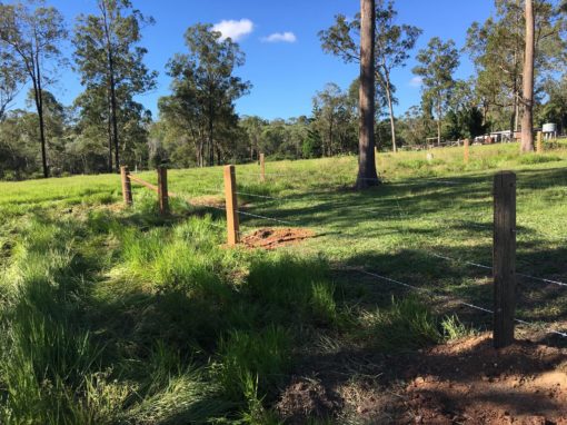 4 Barb wire cattle fence by Fraser Coast Mini Excavations, Spraying ...