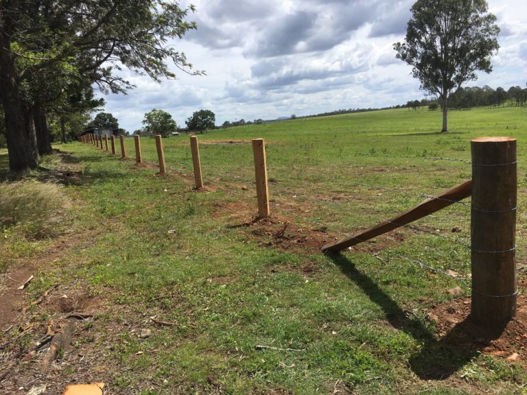 How To Build Barbed Wire Cattle Fence - Design Talk