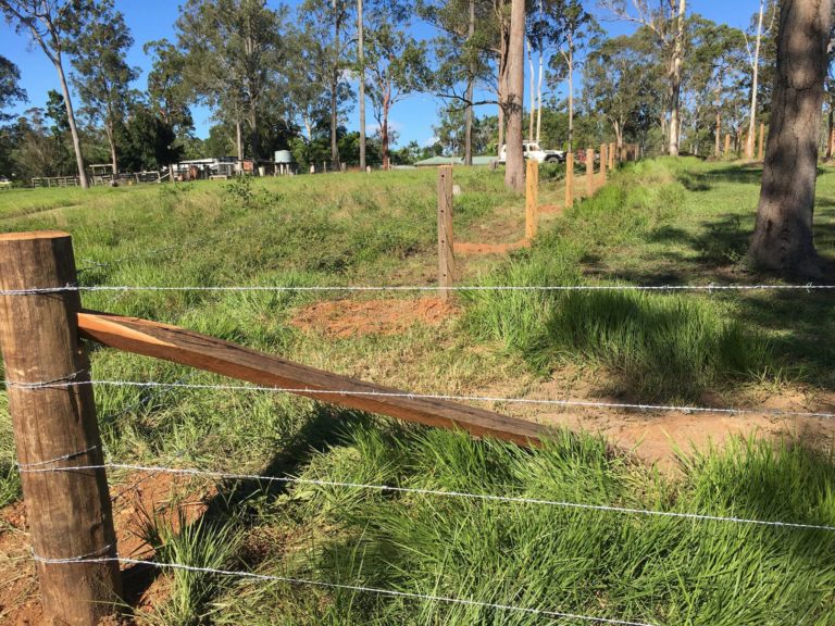 4 Barb Wire Cattle Fence By Fraser Coast Mini Excavations, Spraying 