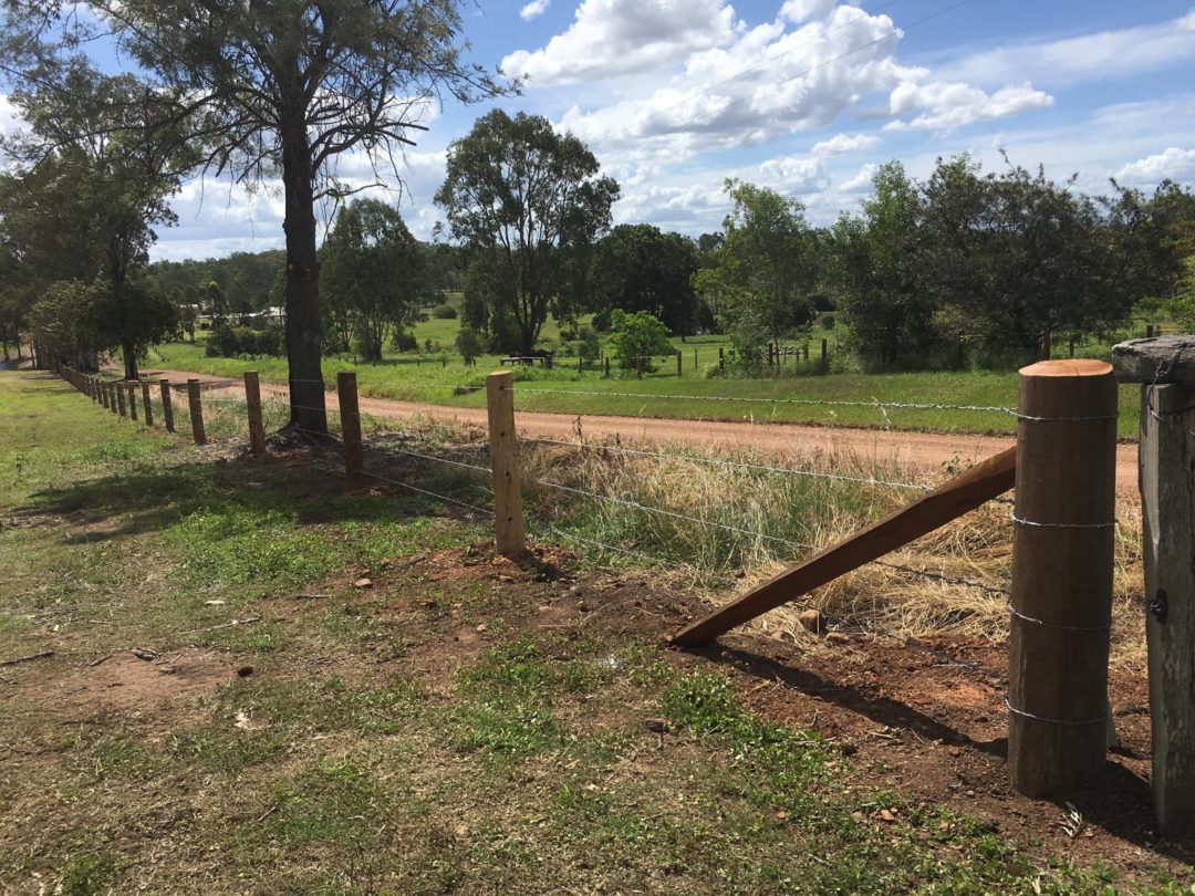 4 Barbed wire cattle fence by Fraser Coast Mini Excavations, Spraying ...