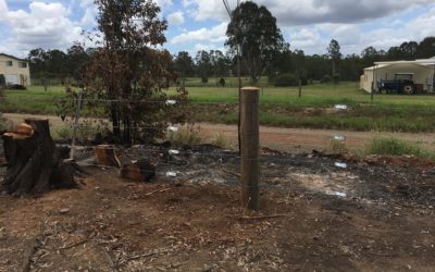 4 Barbed wire cattle fence