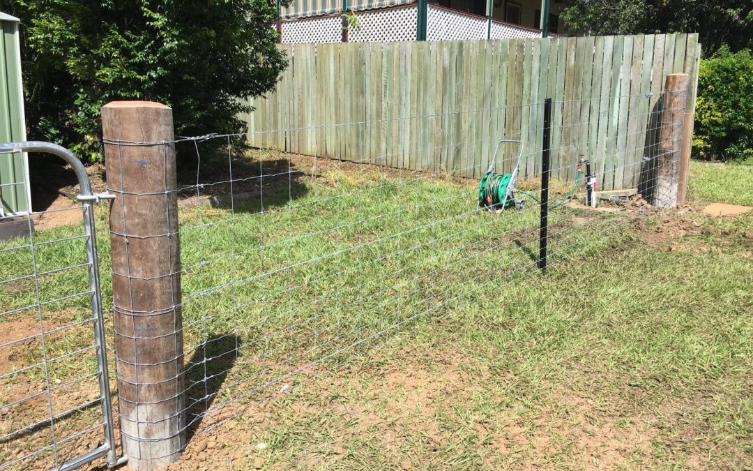 Small Dog Fence