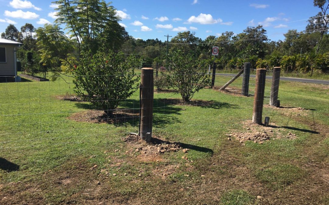 Dog Fence with 4.2m Gateway