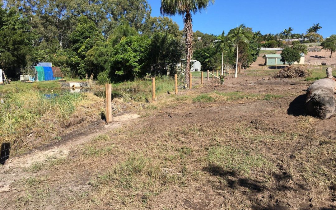 Yard, Hill & Paddock Dog Fence