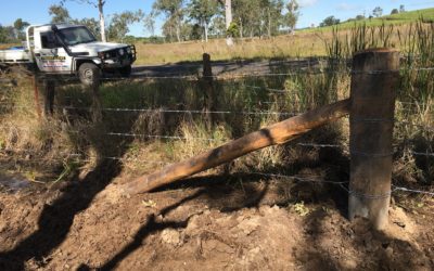 Cattle Fence with Creek Crossing