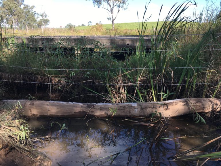 Cattle Fence with Creek Crossing by Fraser Coast Mini Excavations ...