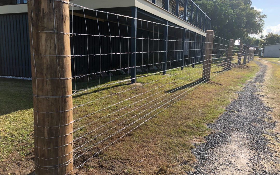 Boonaroo Dog Fence