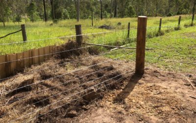 Large Dog Wire Fencing