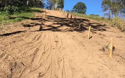 Cattle Fence