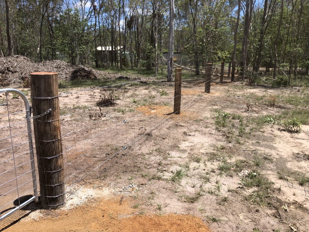 Dog Wire Fencing by Fraser Coast Mini Excavations, Spraying & Rural Fencing
