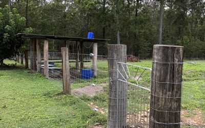 Livestock Shelter and Personal Entry Gate