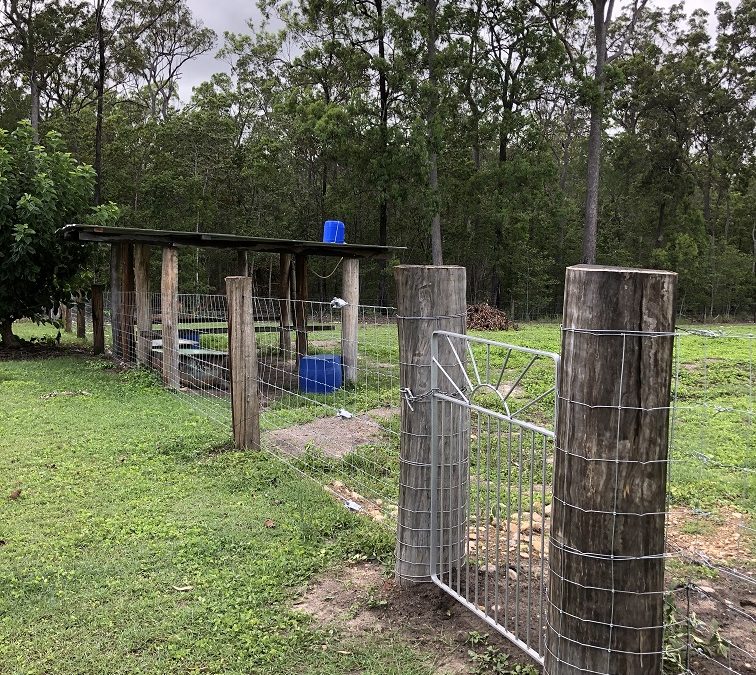 Livestock Shelter and Personal Entry Gate