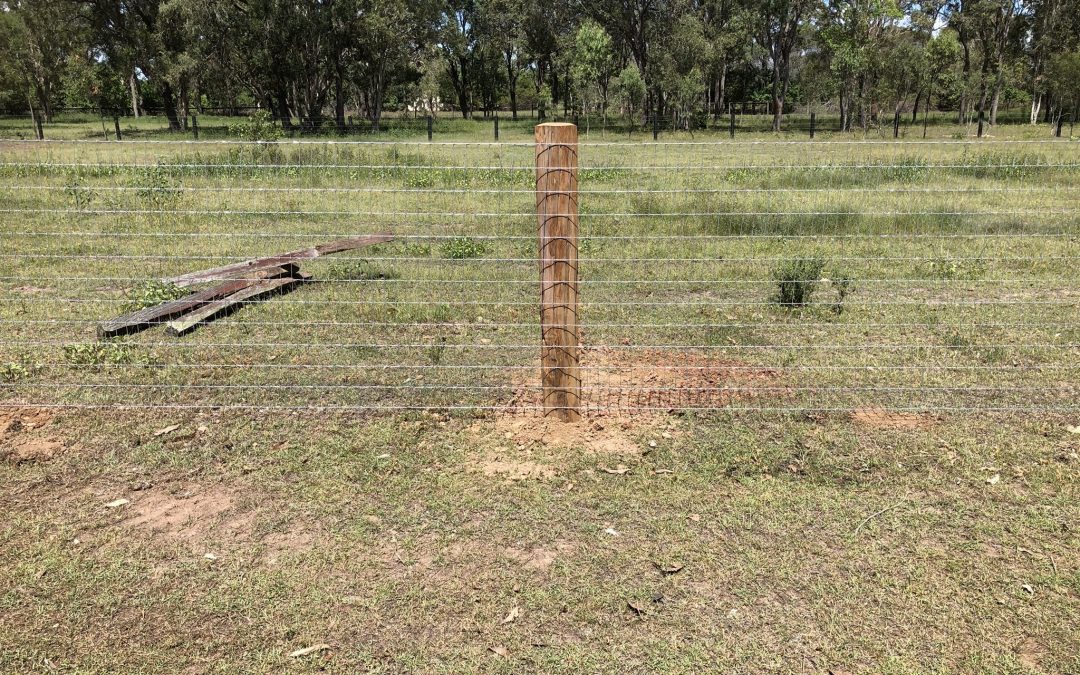 Equestrian Wire Fence
