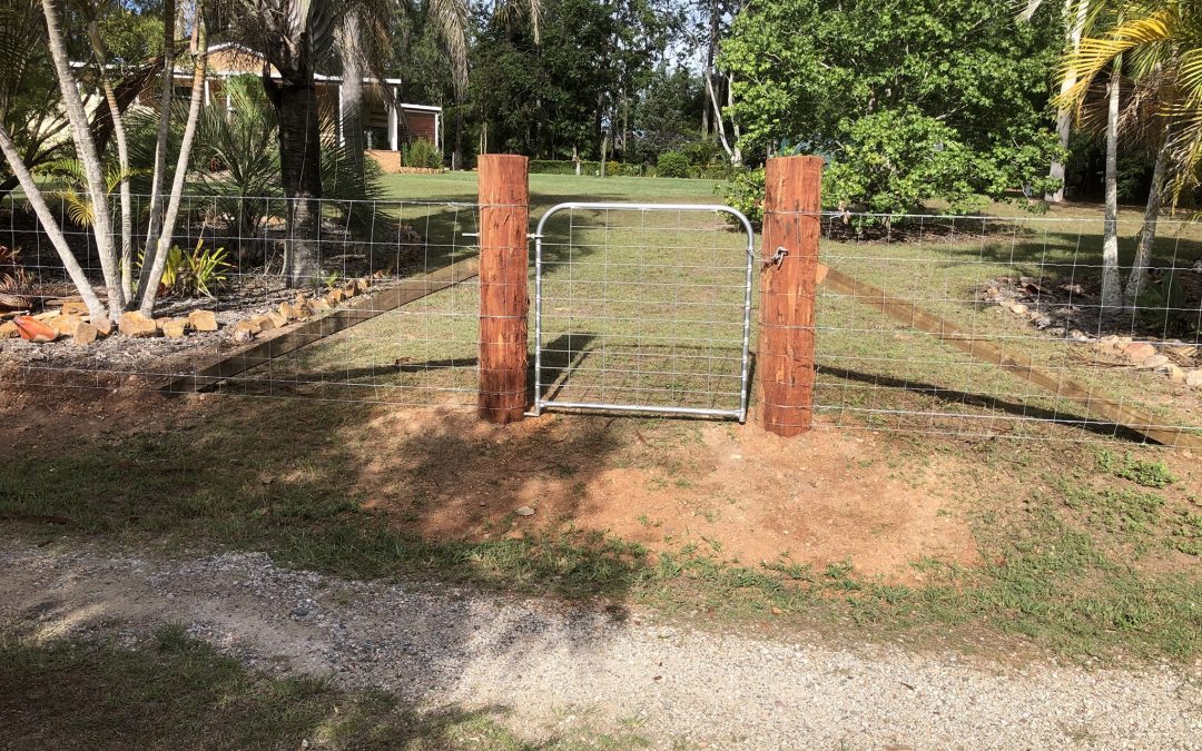 Dog Wire Fence