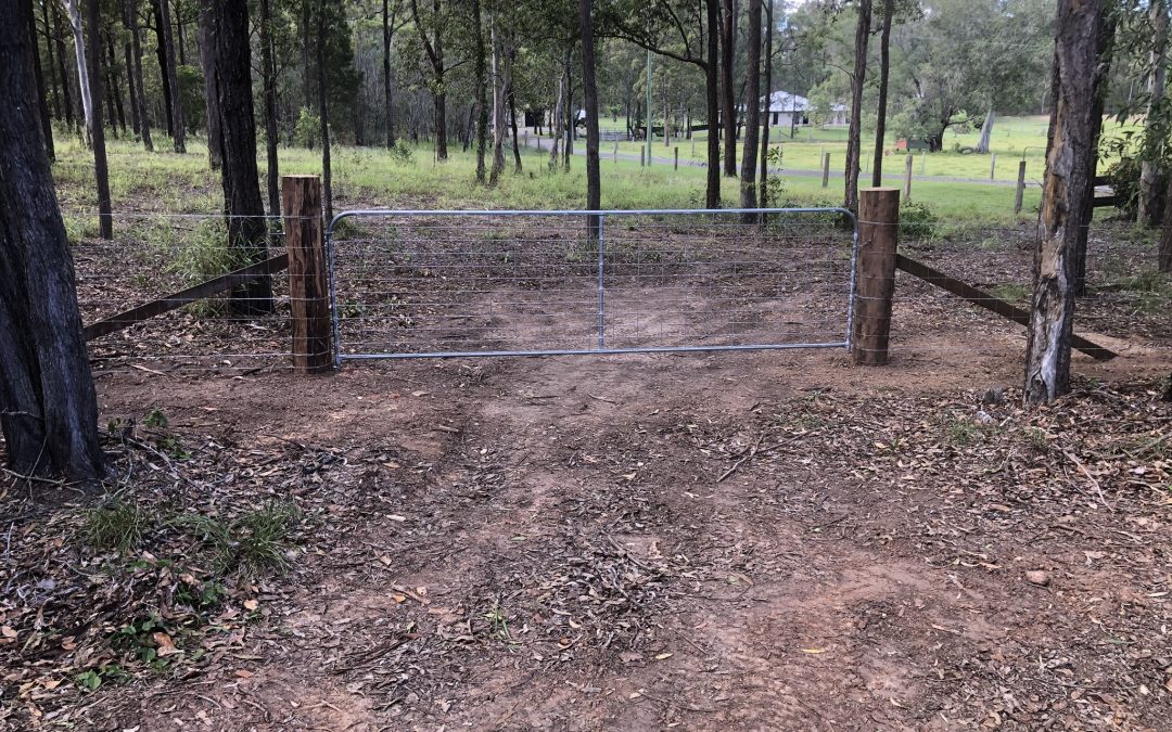 Steel picket fence with dog wire