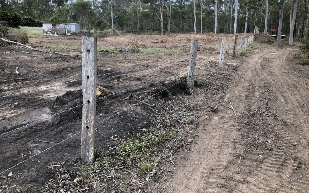 Fence Repairs