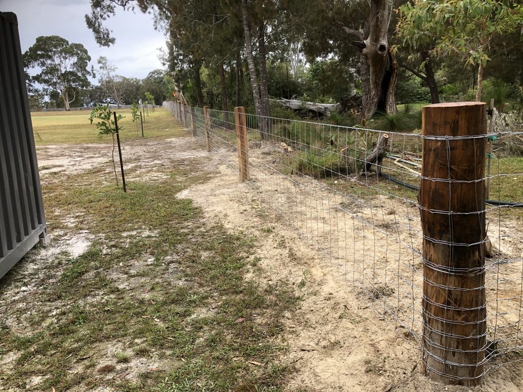 Heavy Duty Dog Wire Fence by Fraser Coast Mini Excavations, Spraying