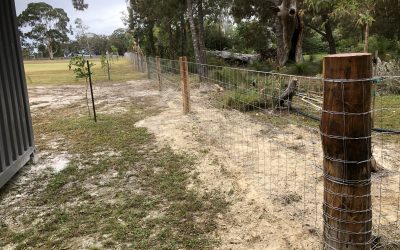 Heavy Duty Dog Wire Fence