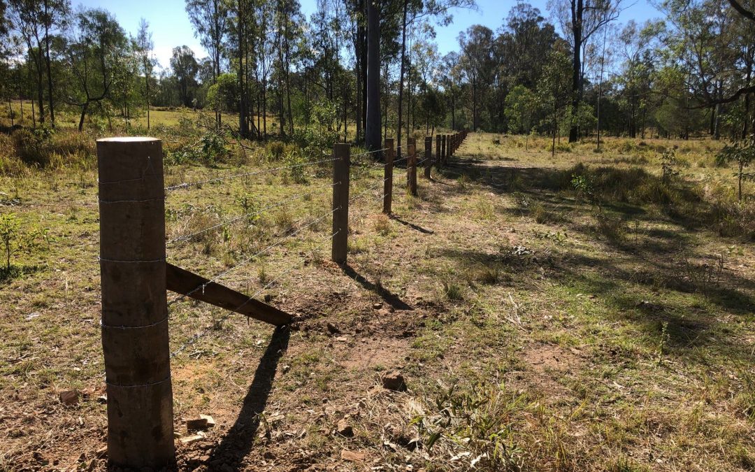 Heavy Barb Split Post Cattle Fence