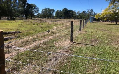 Dog Fence with Heavy Duty 2.5mm Wire