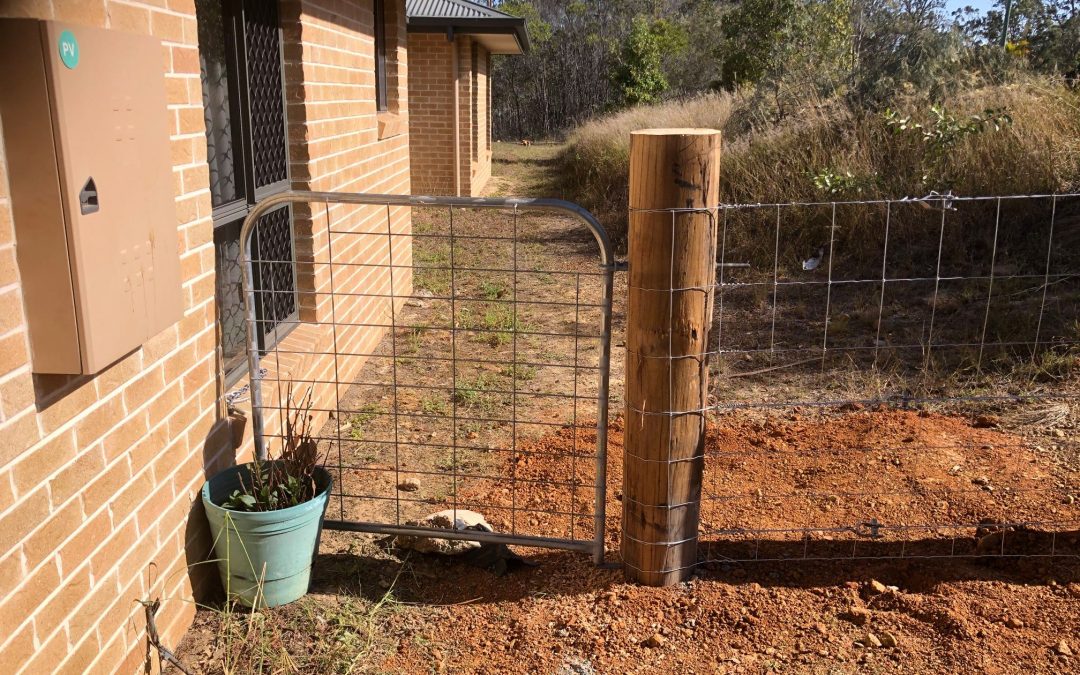 Gates & Dog wire Fence