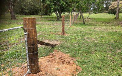heavy duty dog wire Fence &  3 x 4.2mtr gateways