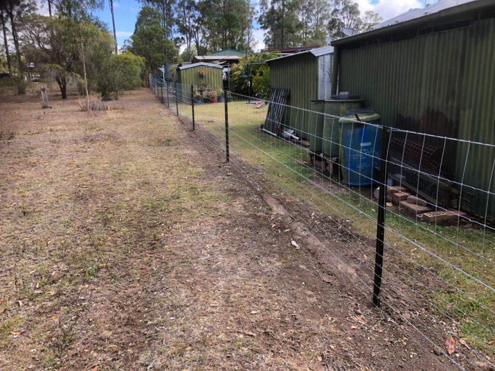 Steel picket dog wire fence with heavy dog wire by Fraser Coast Mini ...