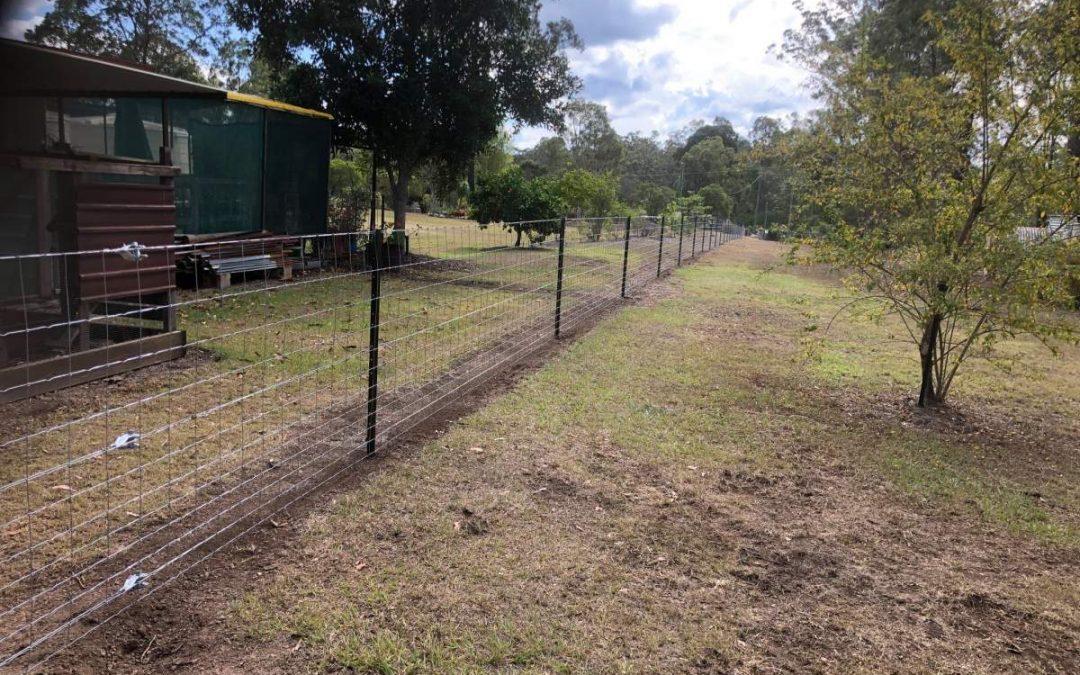 Steel picket dog wire fence with heavy dog wire