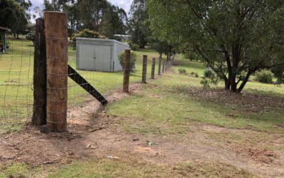 Dog Proof Boundary fence
