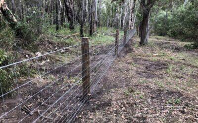 Before & after – 2.5mm Dog Wire Fence