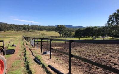 Horse Spell Paddock project – Woodshield Post Fencing